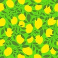 Lemon tree seamless pattern. Citrus background with lemons, leaves and branches. Tropical and summer print, texture, typography Royalty Free Stock Photo